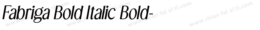 Fabriga Bold Italic Bold字体转换
